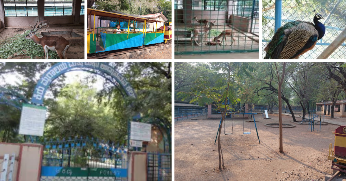 government-zoo-gulbarga 